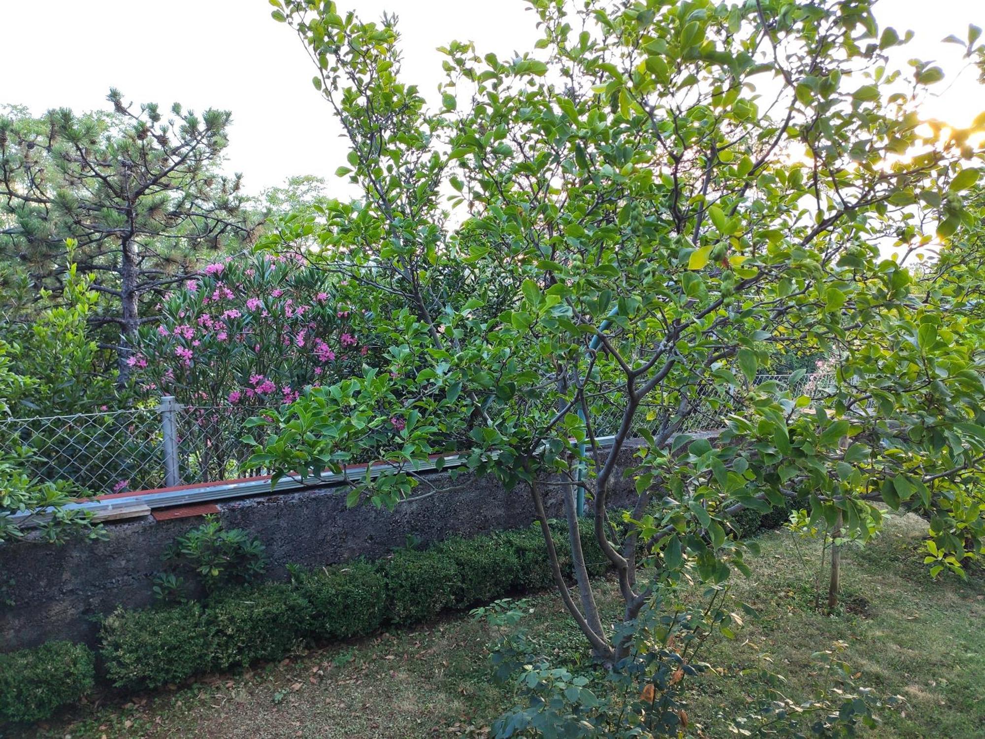 Apartment With Private Garden And The Terrace Ev Station Available Цриквеница Экстерьер фото